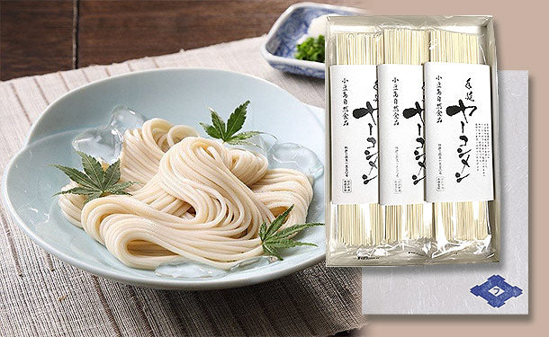 香川県産「ヤーコン麺」