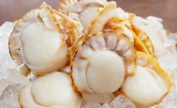 青森県産「ボイルほたて」1kg