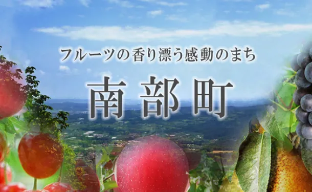青森県産「ブラムリー（緑系）」約3.0kg - Image 2