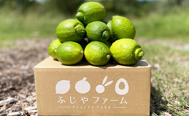 広島県大崎上島産「グリーンレモン」2kg