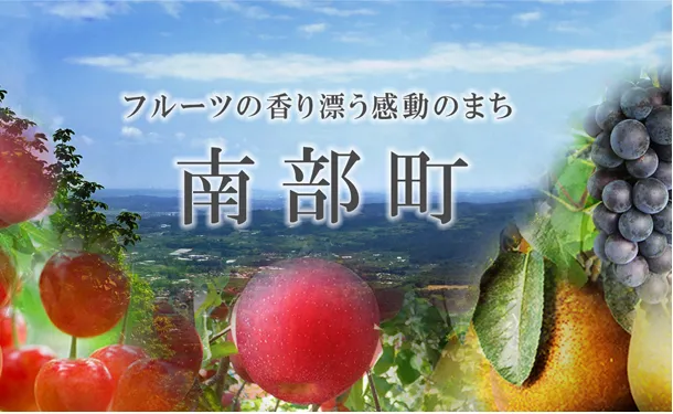 青森県産「早生フジ」約4.5kg（13玉前後） - Image 2