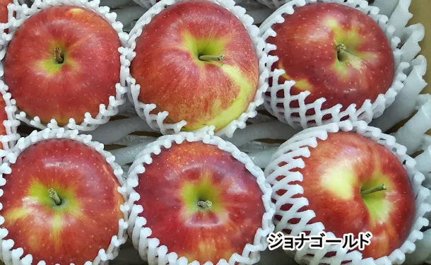 青森県産「サンジョナゴールド」約4.5kg