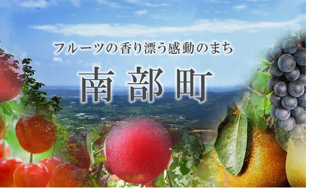 青森県産「サンジョナゴールド」約4.5kg - Image 2