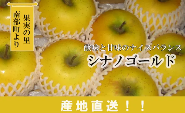 青森県産「シナノゴールド」約4.5kg