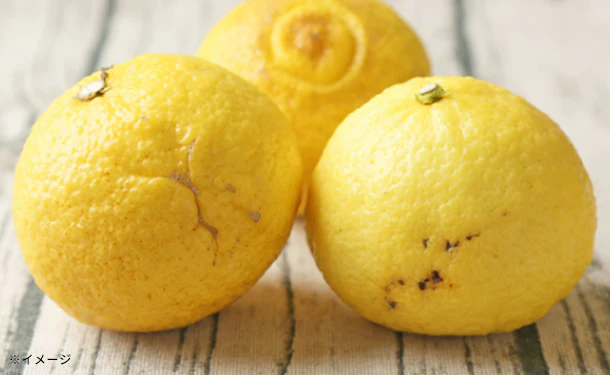 愛媛県産「吉田みかん はるか」2kg - Image 3