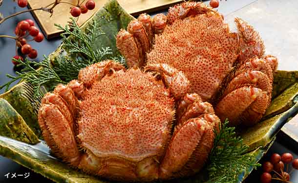 北海道産「ボイル毛がに姿（KHB502）」500g