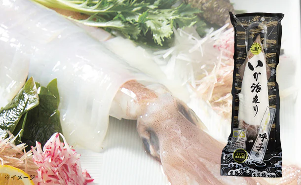 「呼子 剣先イカ姿造り」200g