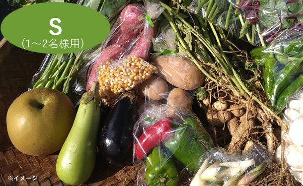 「千葉県産 野菜ボックス Sサイズ(1〜2名分)」