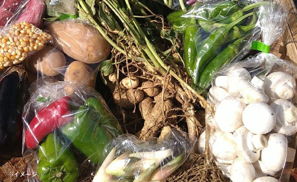 「千葉県産 野菜ボックス Sサイズ(1〜2名分)」 - Image 2