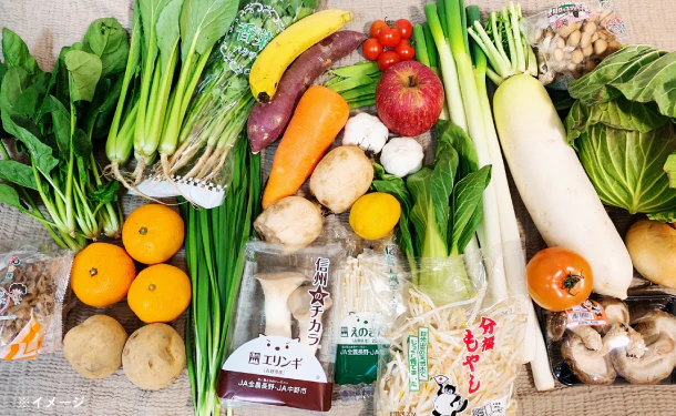 「青果専門卸が目利き！おまかせ野菜ボックス（10～20品目）」