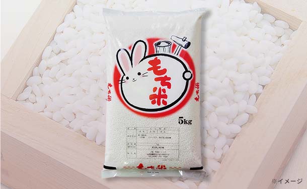 山形県産「もち米 ヒメノモチ」5kg
