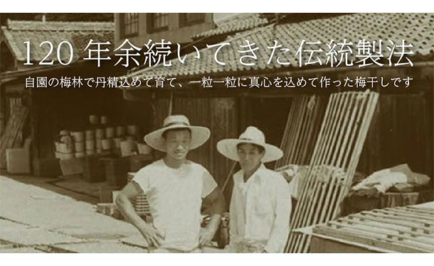 「紀州南高梅 つぶれ梅 Lサイズ はちみつ味（塩分7%）」400g - Image 5