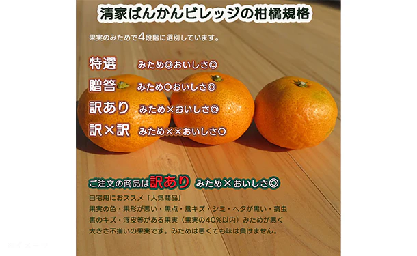 愛媛県産「おいしさ凝縮！訳あり小玉みかん（2S-S）」3kg - Image 7