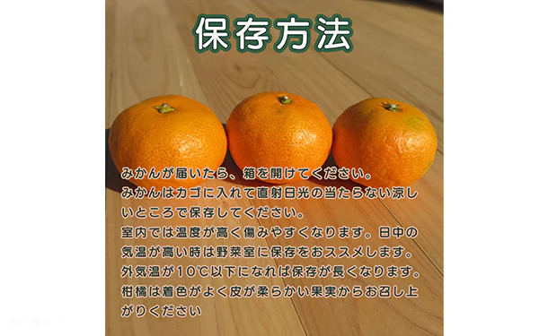 愛媛県産「おいしさ凝縮！訳あり小玉みかん（2S-S）」5kg - Image 8