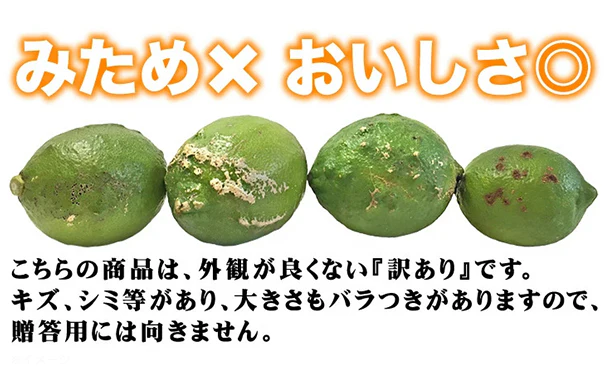 愛媛県産「訳あり レモン（2S-2L）」3kg - Image 2