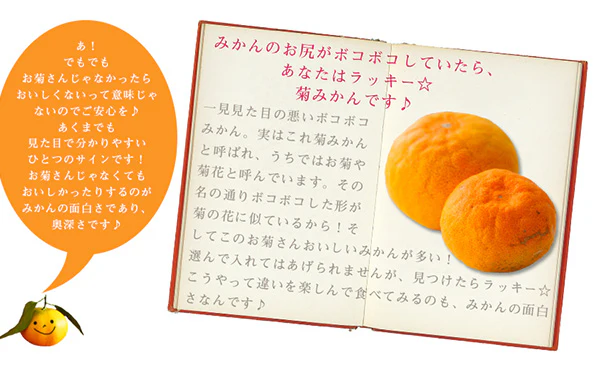 愛媛県産「吉田みかん」5kg - Image 4