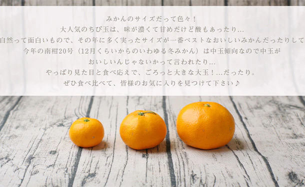 愛媛県産「吉田みかん」7kg - Image 6
