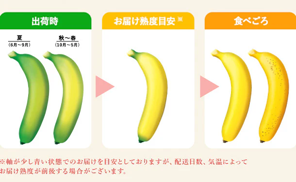 「業務用 訳あり甘熟王バナナ」 約5kg - Image 6