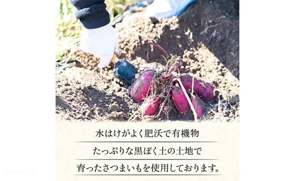 茨城県産「訳あり 干し芋」500g - Image 7
