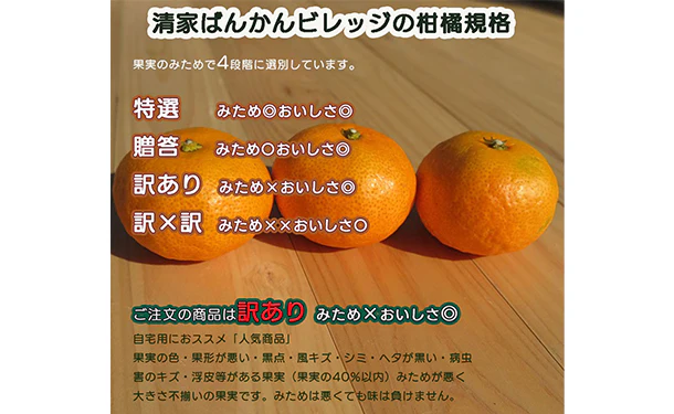 愛媛県産「訳ありみかん まどんな（愛果28号）」2kg - Image 4