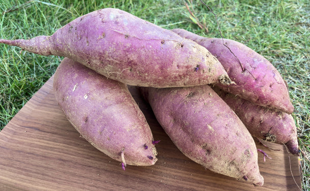 大崎上島産「土付きさつまいも(農薬:栽培期間中不使用)」約8kg(10~15本)