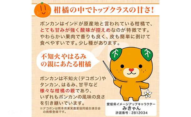愛媛県産「訳ありポンカン（M-2L）」約3kg - Image 2