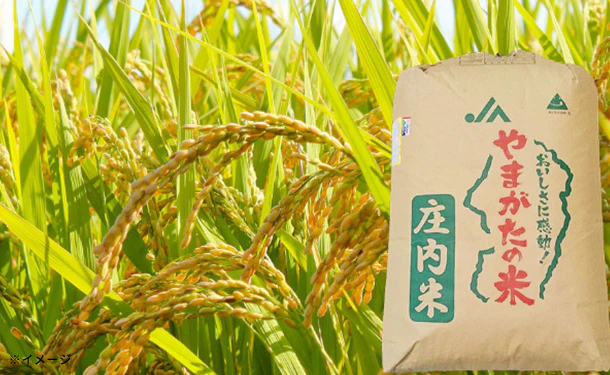 「玄米のりすけ」30kg