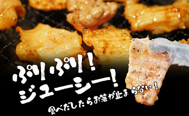 「たっぷり牛ホルモン にんにく塩味」500g - Image 5