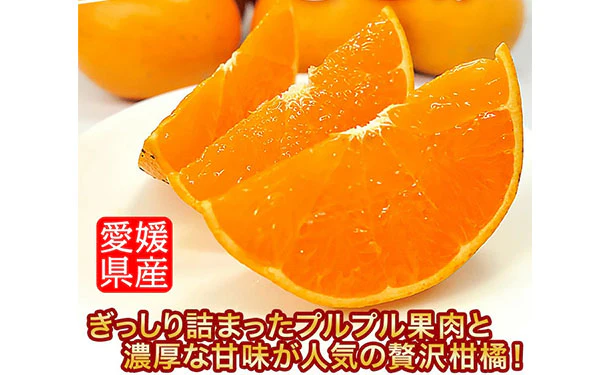 愛媛県産「訳あり せとか（2L〜5L）」約3kg - Image 2