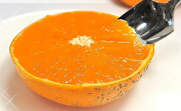 愛媛県産「訳あり せとか 中～大玉（L～4L）」5kg