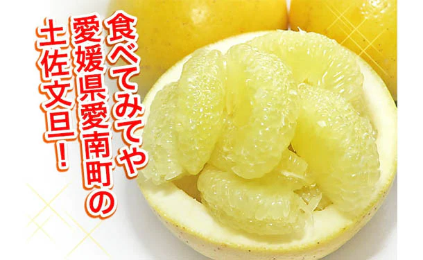愛媛県産「規格外土佐文旦（M-4L）」5kg - Image 2