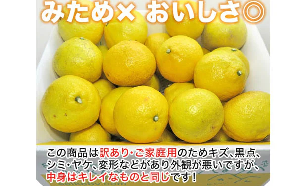 愛媛県産「訳ありはるか（M-3L）」5kg - Image 3