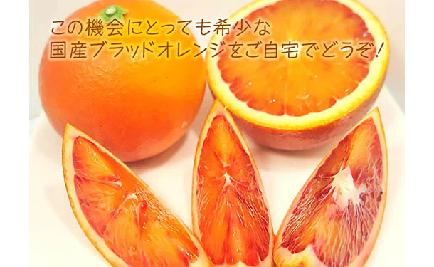 愛媛県産「訳ありブラッドオレンジ（2S-3L）」10kg - Image 2