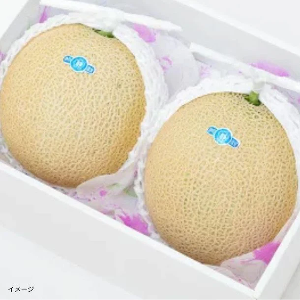 静岡県産「高級マスクメロン」