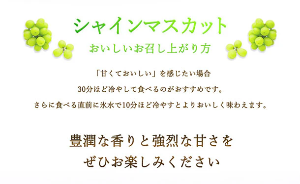 「産地おまかせ シャインマスカット（2～5房）」計2kg - Image 2