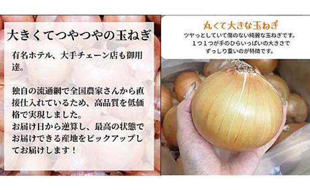 「青果専門仲卸が目利き・選果済み！つやつや玉ねぎ」約5kg - Image 3