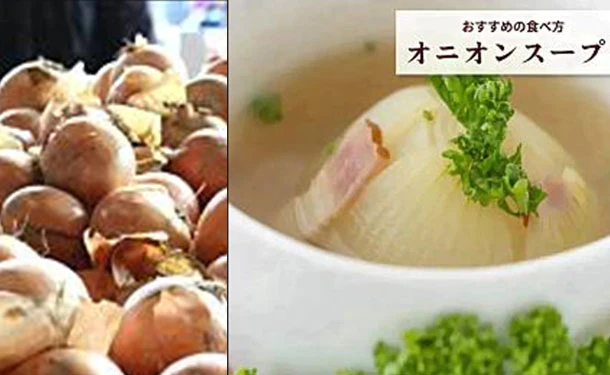 「青果専門仲卸が目利き・選果済み！つやつや玉ねぎ」約5kg - Image 4