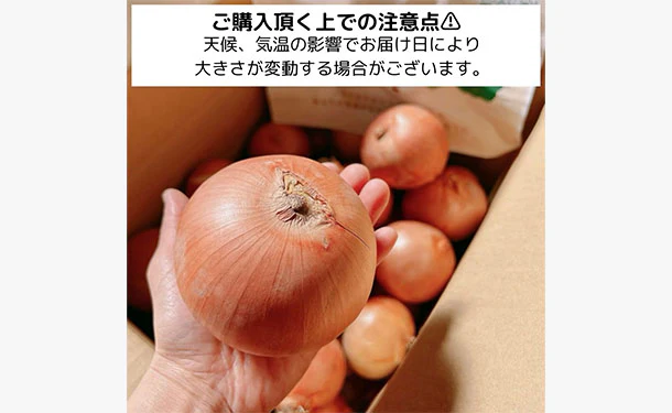 「青果専門仲卸が目利き・選果済み！つやつや玉ねぎ」約5kg - Image 5