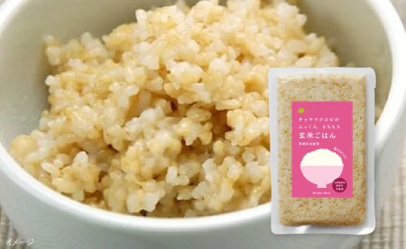 CHAYAマクロビ「カレー6種&玄米ごはん2種セット」計12食 - Image 15