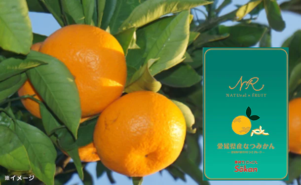 「ナチュルーツ愛媛県産なつみかん」18g