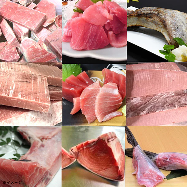 Kuradashi限定「訳ありマグロ福袋（中トロ入り） 3種」約3kg