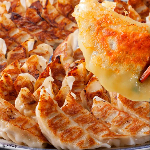 「餃子大和 人気餃子4種 食べ比べセット」各20個
