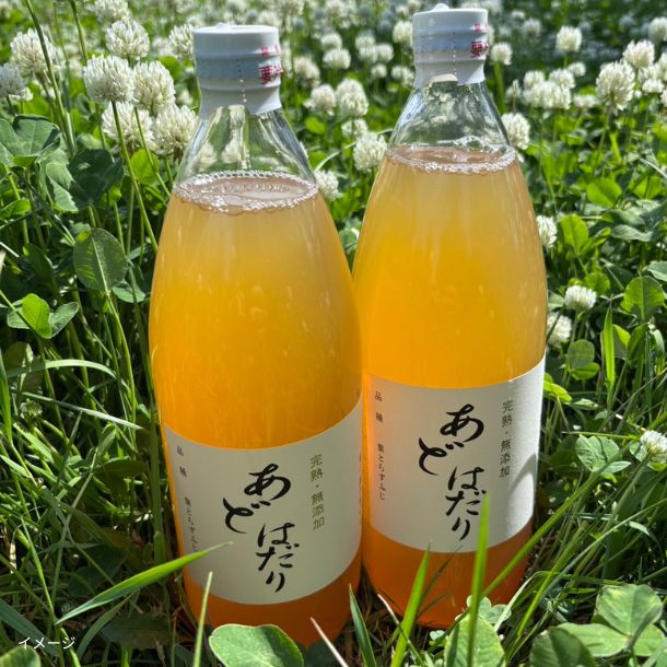 「あどはだり(無添加林檎ジュース) 」6本