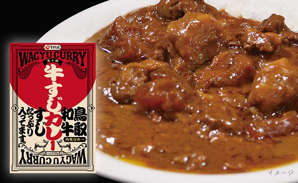 「鳥取和牛牛すじカレー」250g×10個