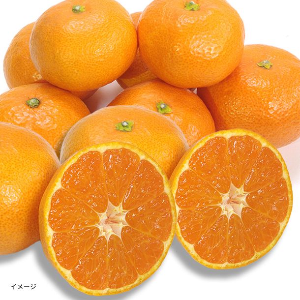 「訳あり 愛媛みかん」2kg