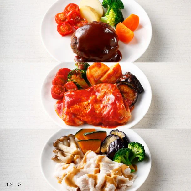 Vivid TABLE「国産食材の彩り冷凍宅食B」12食
