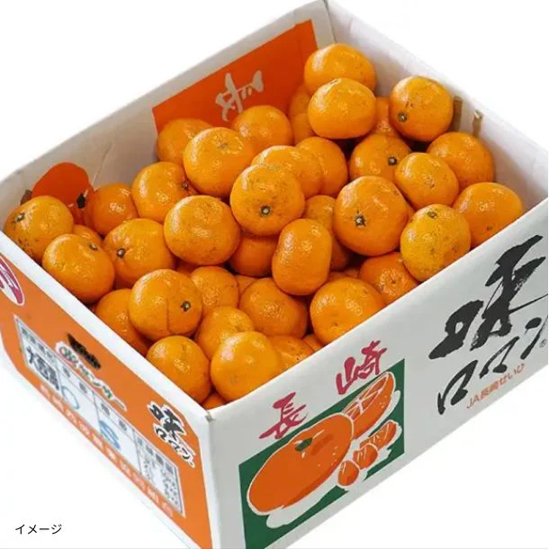 長崎県産「高糖度みかん 味ロマン 糖度12度以上」10kg