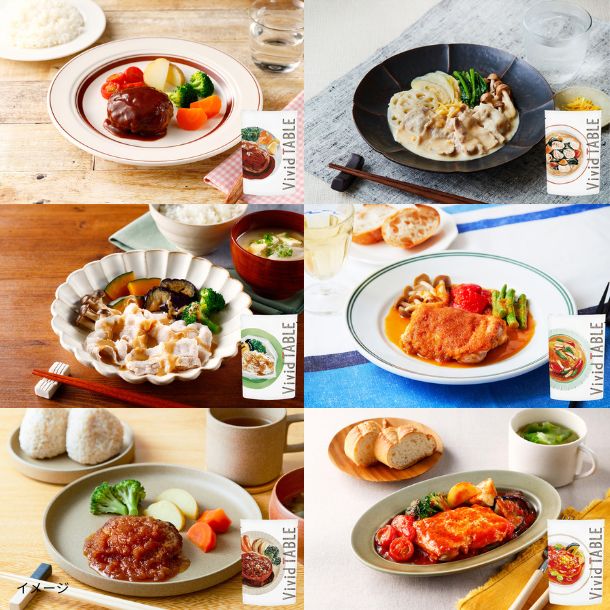 Vivid TABLE「国産食材の彩り冷凍宅食（6種）」計12食
