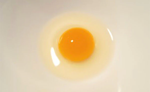 静岡県産「命のカプセル うずらの卵（から割ハサミ付き）」10個×24パック - Image 3
