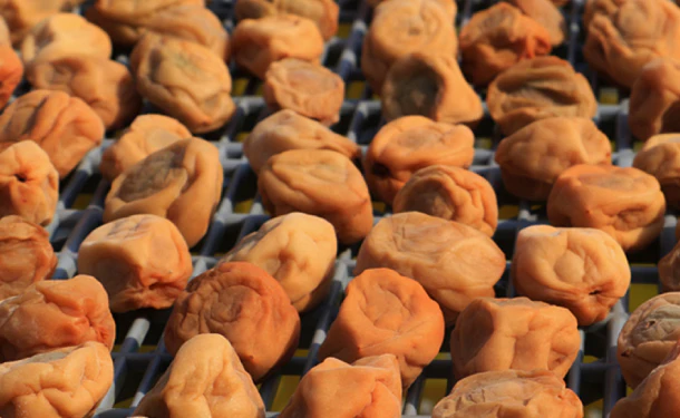 「減塩 紀州産南高梅 つぶれ梅 しそ漬味梅干し 塩分 3%」350g×4個 - Image 2